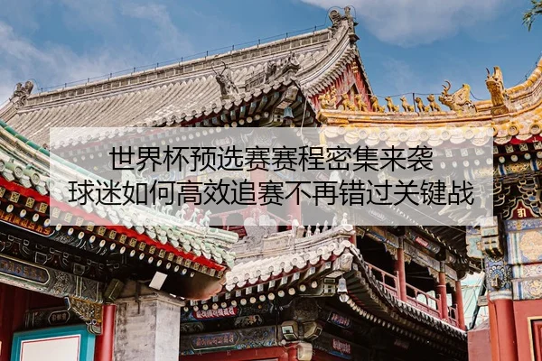 世界杯预选赛赛程密集来袭 球迷如何高效追赛不再错过关键战