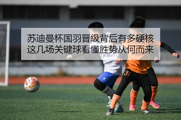 su-di-man-bei-guo-yu-jin-ji-bei-hou-you-duo-ying-he-zhe-ji-chang-guan-jian-qiu-kan-dong-sheng-shi-cong-he-er-lai-2-959.jpg