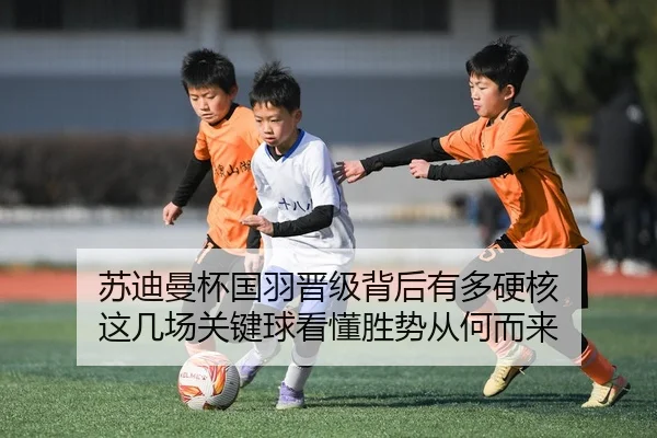 su-di-man-bei-guo-yu-jin-ji-bei-hou-you-duo-ying-he-zhe-ji-chang-guan-jian-qiu-kan-dong-sheng-shi-cong-he-er-lai-3-526.jpg