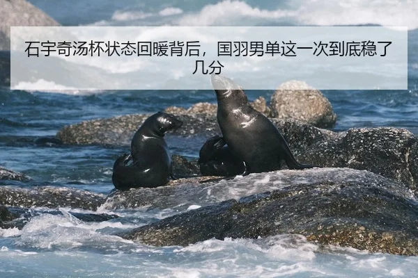 石宇奇汤杯状态回暖背后，国羽男单这一次到底稳了几分